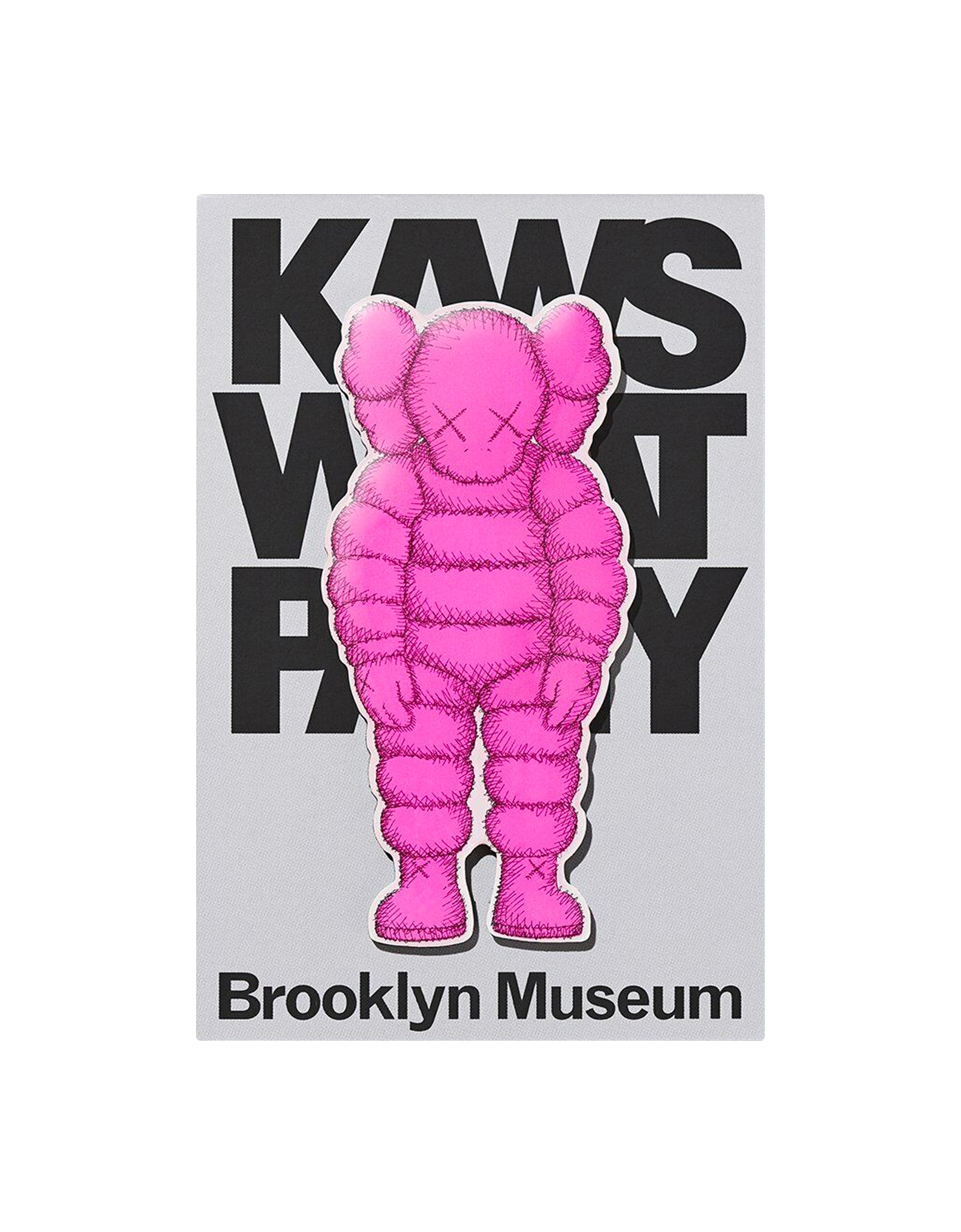 KAWS - Brooklyn Museum WHAT PARTY Chum Pink Magnet – TOY TOKYO