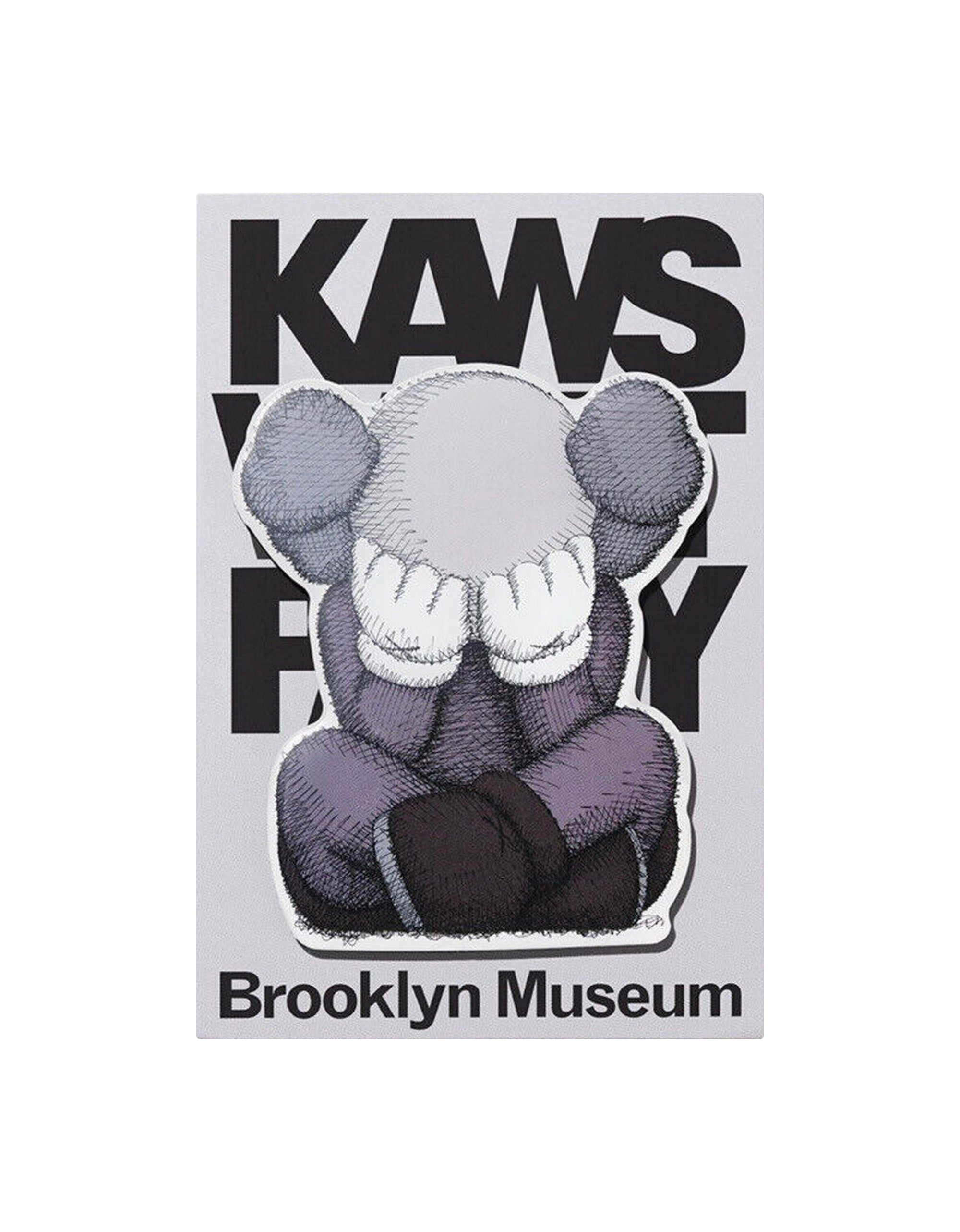 KAWS - Brooklyn Museum WHAT PARTY Separated Magnet – TOY TOKYO