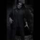 NECA: Ultimate Frankenstein's Monster Black & White 7" Tall Action Figure