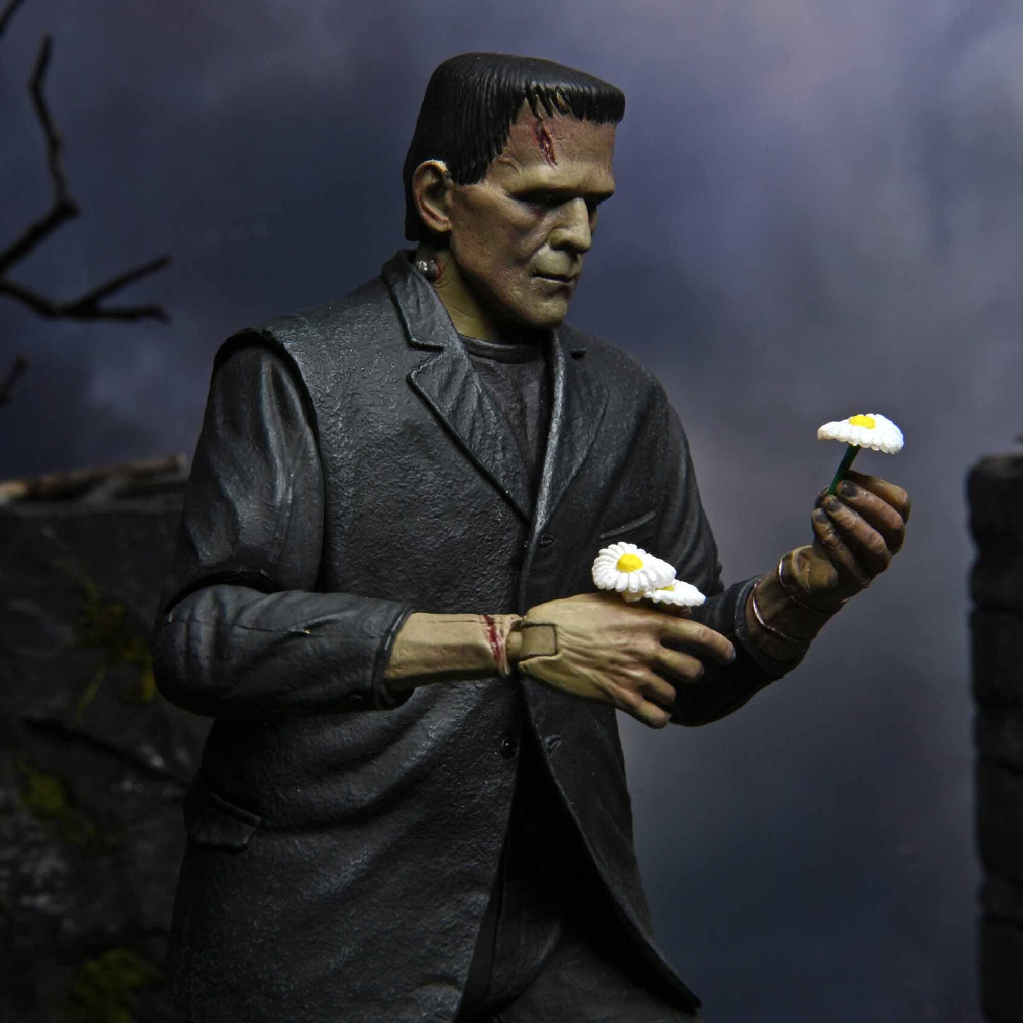 NECA: Universal Monsters - Ultimate Frankenstein's Monster Color 7