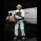 NECA: Back to the Future - Ultimate Doc Brown 1985 7" Tall Action Figure