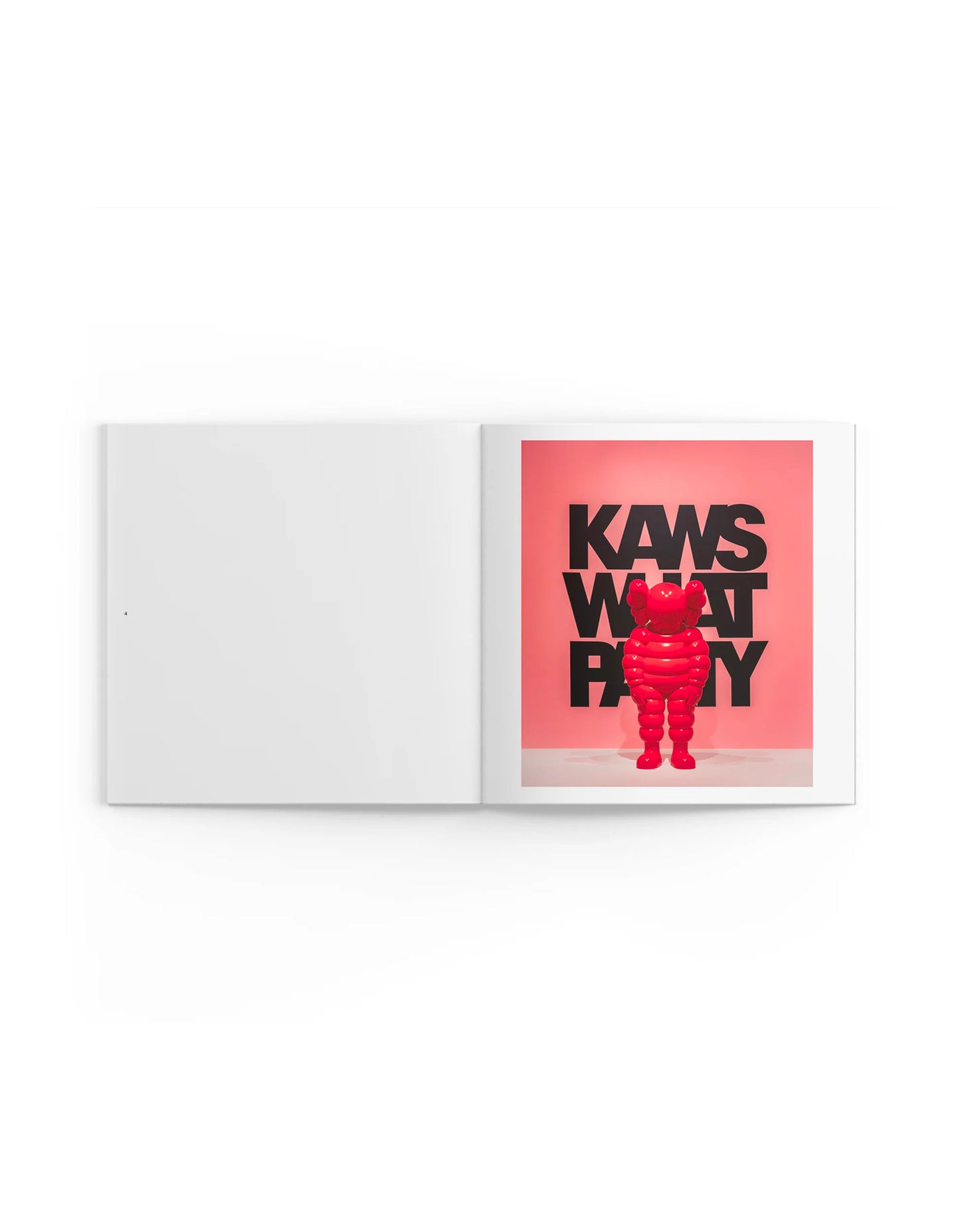 KAWS - What Party Booklet